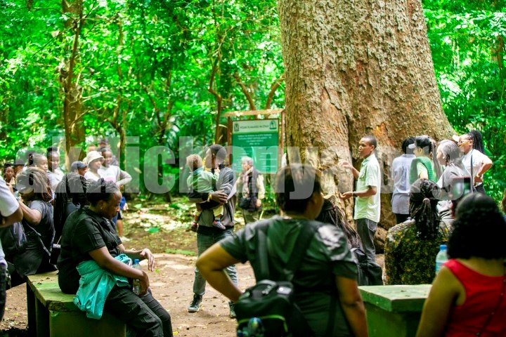 Ladies’ Mental Health Nature Walk at Rau Forest